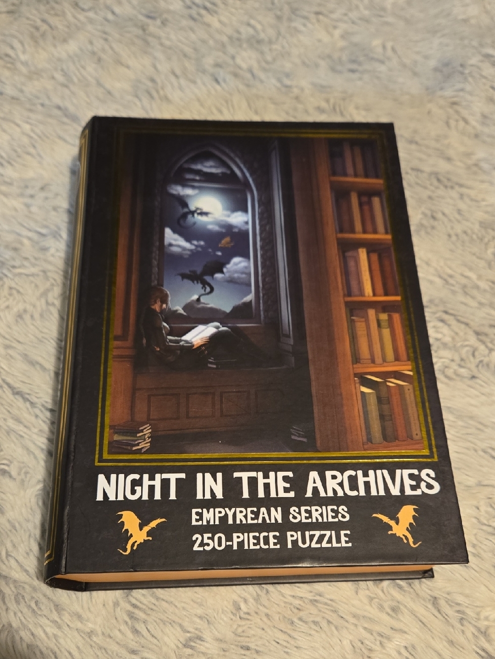 Fourth Wing - Night In The Archives 250 Piece Puzzle